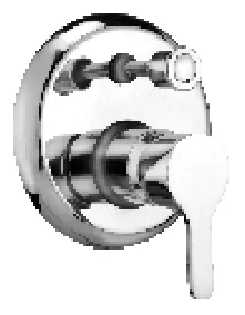 Divertor Fusion