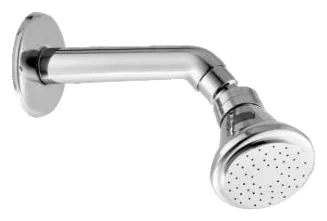 Overhead Shower 421